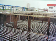 F&N coca-cola wwtp